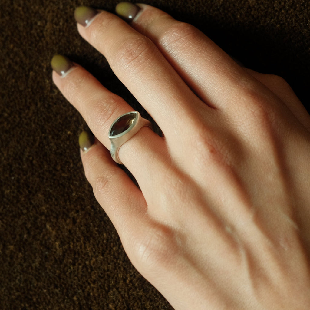 Orbit ring